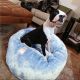 Blue Luxe Puffy Dog Bed 