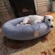 Periwinkle Minky Dot Dog Bed 