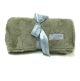Luxe Bella Sage Green On Both Sides With No Satin Border Blanket 