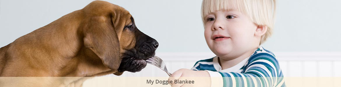 Handmade minky luxe dog bed – My Blankee