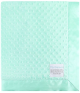 Minky Dot Mint baby blanket with ultra-soft textured plush fabric and smooth satin border, perfect for cuddling babies and toddlers.