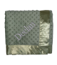 Sage green minky dot blanket with Century Expanded light blue thread name embroidery – My Blankee
