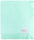 Minky Dot Mint baby blanket with ultra-soft textured plush fabric and smooth satin border, perfect for cuddling babies and toddlers.